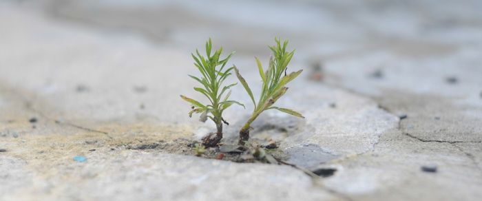 Как сформировать силу воли?