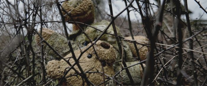 Синдром недолюбленного ребенка